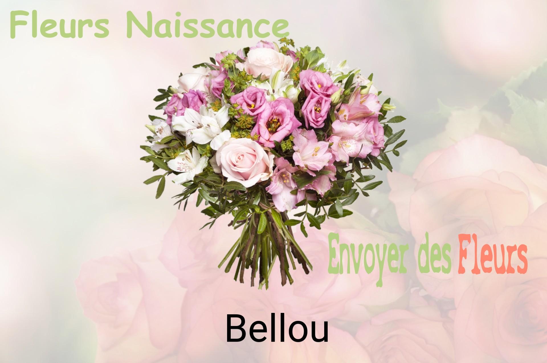 Bouquet de fleurs de naissance livré à Bellou